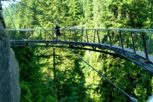 Capilano Bridge Cliff Walk