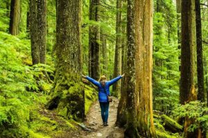 Forest Bathing